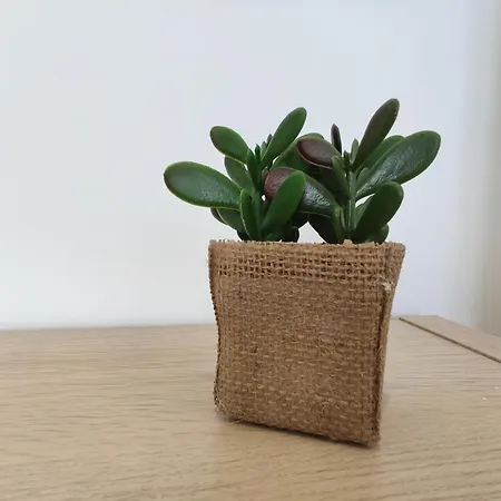 Résidence Jehan Froissart Appartamento *